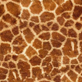 SISER EasyPatterns® WILD 30x50cm